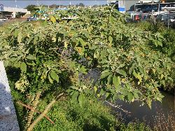 Image: Trevor James © Trevor James 